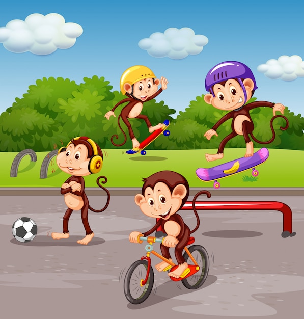 monkey playing at playground