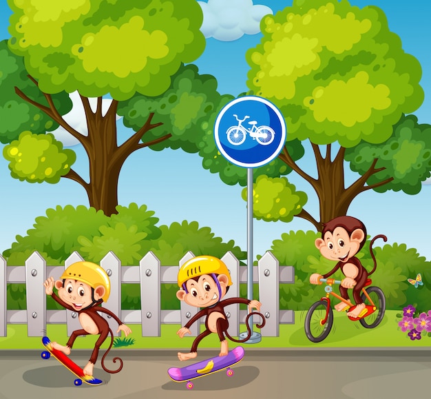 monkey riding a bicycle and skateboard