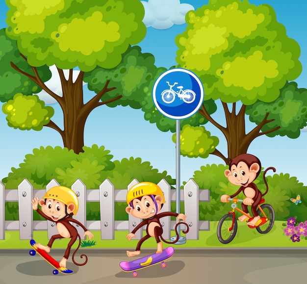 Monkey riding a bicycle and skateboard