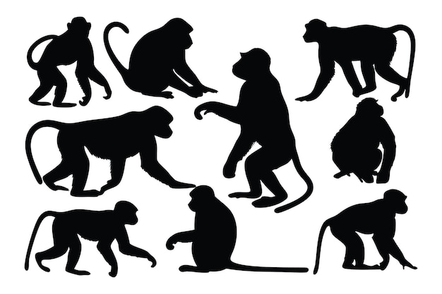 Monkey set silhouettes isolated flat vector illustration on white background