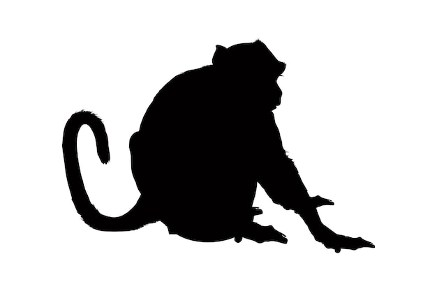 Monkey silhouette isolated on a white background vector illustration