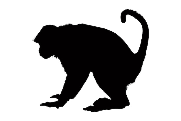 Monkey silhouette isolated on a white background vector illustration