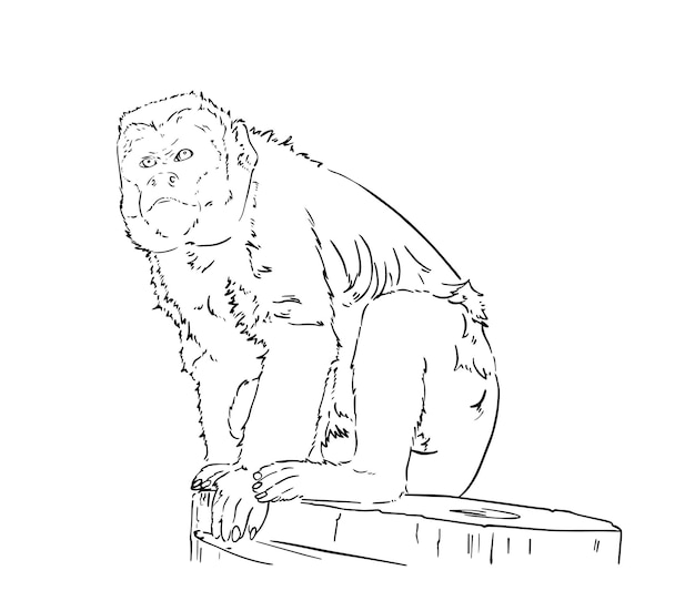 ベクトル ログマカクに座っている猿 野生の動物のドゥードル 線形の漫画のカラーブック