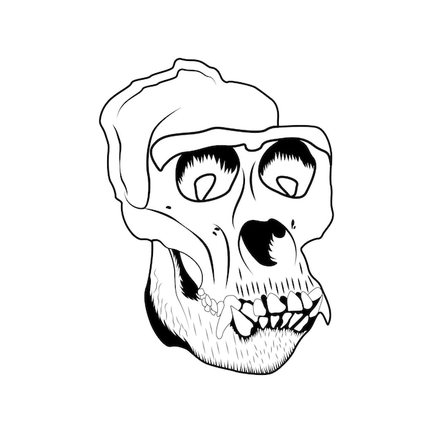 Vector monkey skull vector