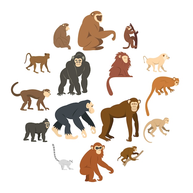 Monkey types icons set in flat style