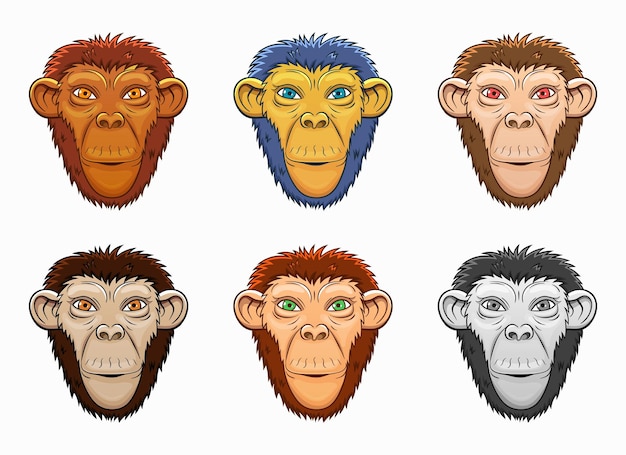 Monkey vector design illustration isolated on white background