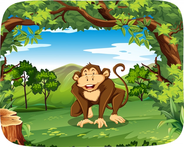 A monkey in wild forest