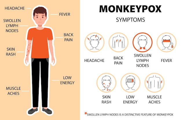 Monkeypox virus symptoms infographic with man Headache back pain swollen lymph nodes fever skin rash etc Headache back pain etc New outbreak cases in Europe and USA