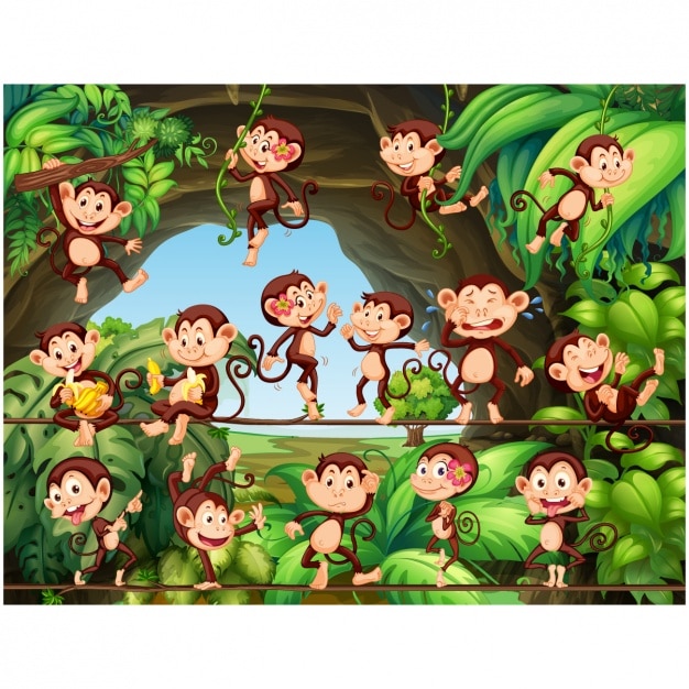 Vector monkeys background design