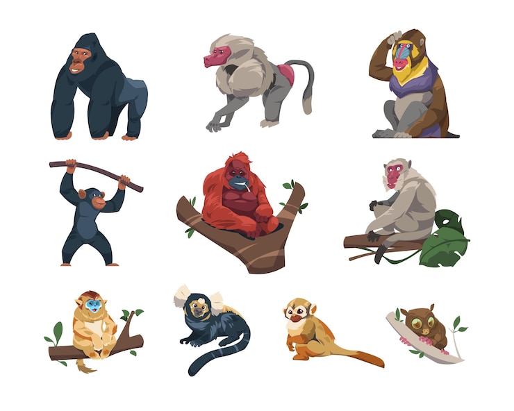 Vector monkeys collection cartoon ape characters in different poses species and breeds of monkeyshines cute tropical primates zoo or wildlife concept vector set climbing hanging wild animals