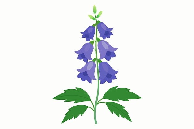 Monkshood Flower Vector Illustratie