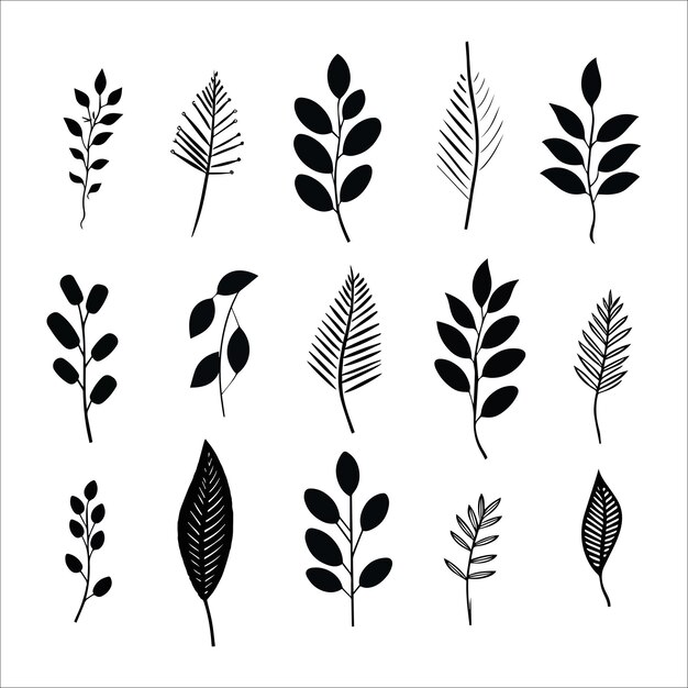 Vector monochromatic leaf medley snapshot