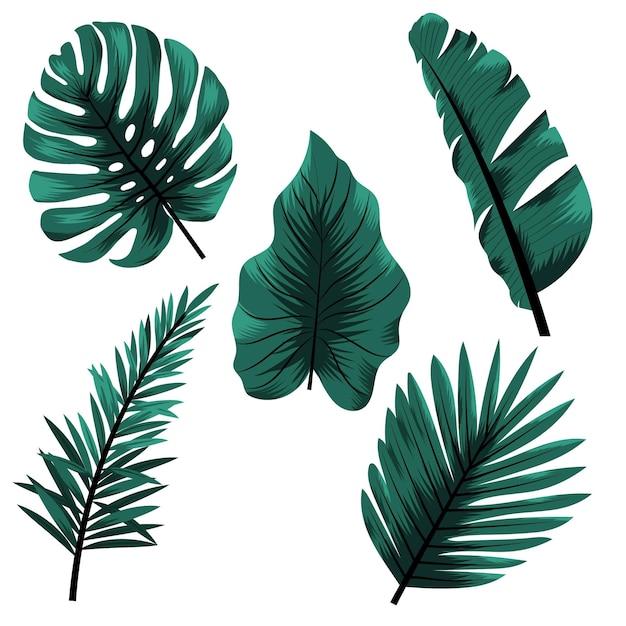 Vector monochromatic style tropical leaves
