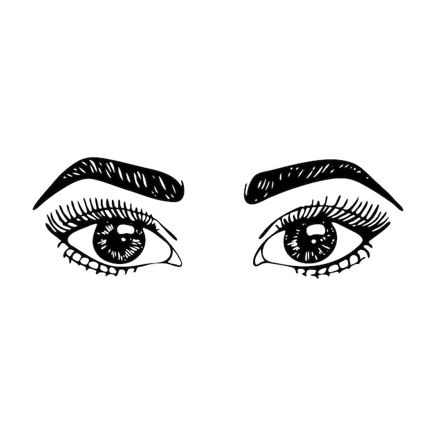 Monochrome black white eyes brows beauty woman girl sketch line art vector