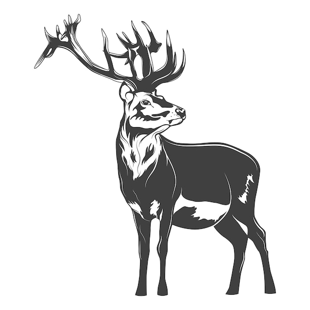 Vector monochrome deer isolated on white