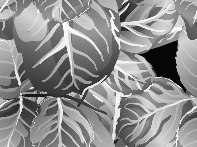 Monochrome and greyscale summer textile design. romantic botanical vector background. painted english rose leaf patterns collection. rose leaves seamless pattern. repeated spring peony wallpaper.