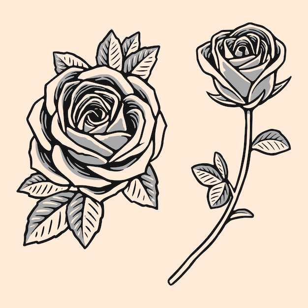 Vector monochrome hand drawn rose illustration