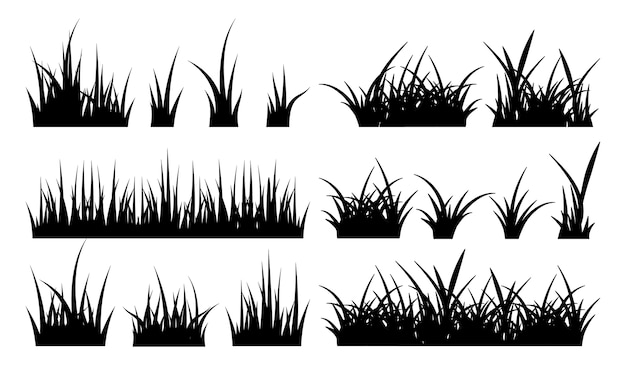 Monochrome illustration of grass.  black silhouettes nature grass field