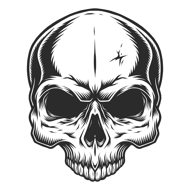 Monochrome illustration of skull