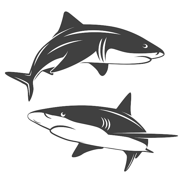 Monochrome illustration of stylized two sharks isolated on white.