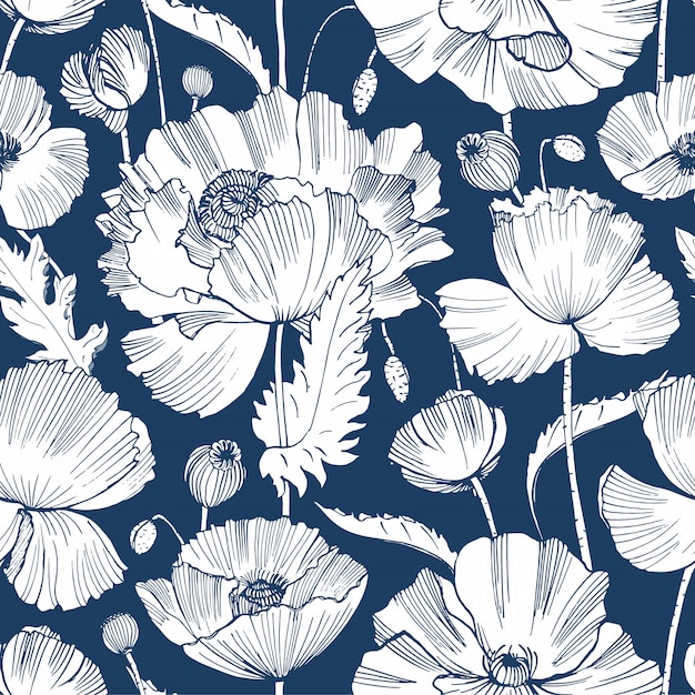 豪華な咲く野生のケシの花、葉、種子の頭の手で青の背景に輪郭線で描かれた白黒のパターン。