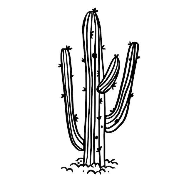 Vector monochrome prickly cacti succulent doodle