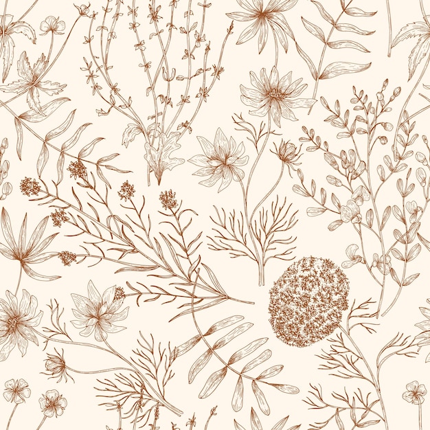 野生の咲く草原の花と輪郭線で描かれたハーブのモノクロのシームレス パターン