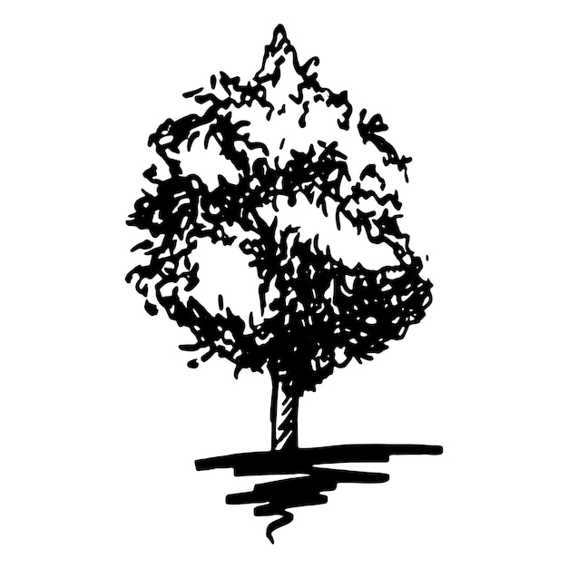 Monochrome tree silhouette sketched line art isolated vector