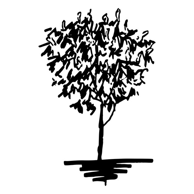 Monochrome tree silhouette sketched line art isolated vector