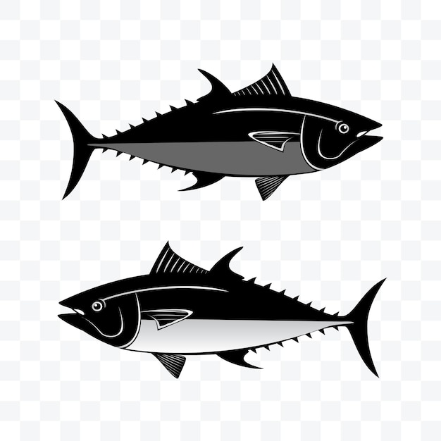 Vector monochrome tuna fish set vector illustration on transparent background.