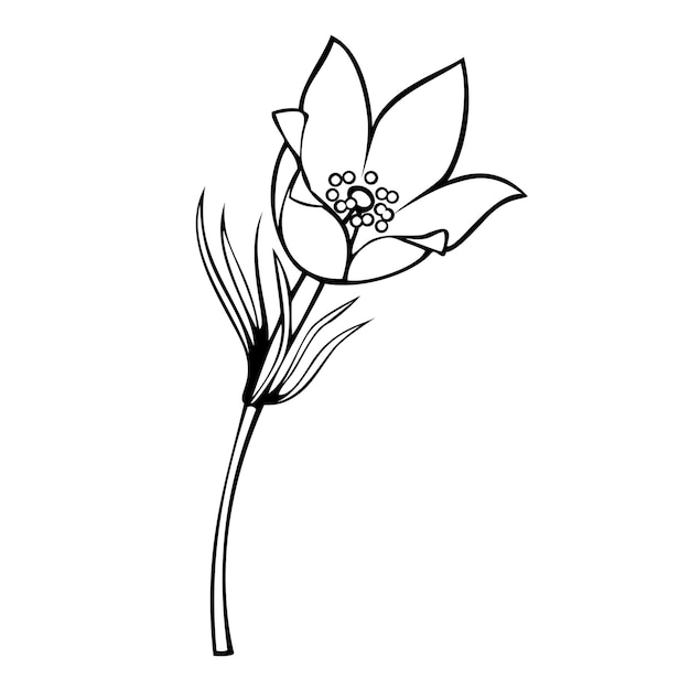 Monochroom afbeelding lente bos bloemen vector illustratie