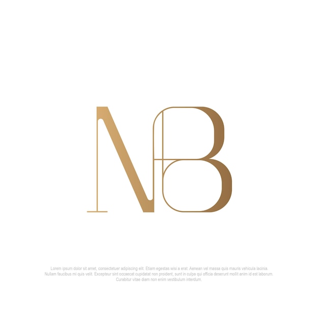 Monogram NB luxury logo