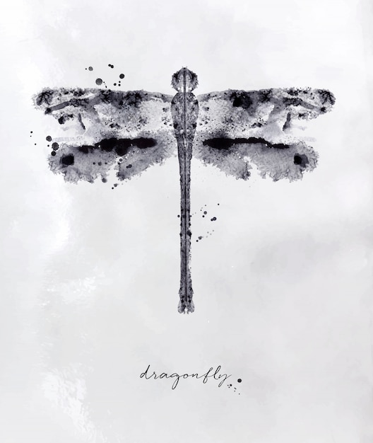 Vector monotype dragonfly drawing with black and white on paper background