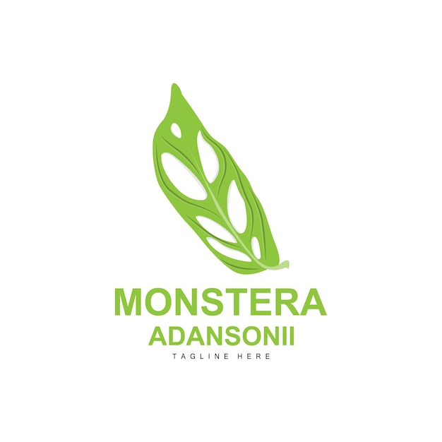 Monstera adansonii Leaf Logo Зеленое Растение Вектор Дерево Вектор Иллюстрация Редких Листьев