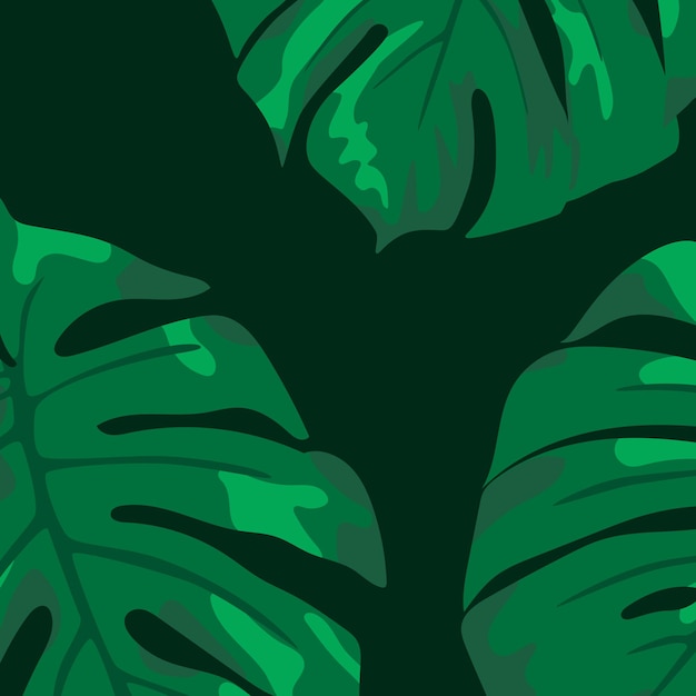 Monstera blad illustratie op donkergroene achtergrond