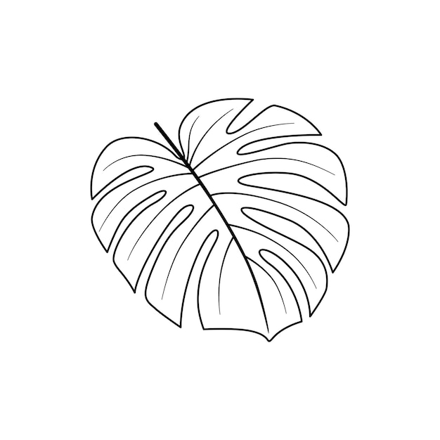 Vector monstera blad tropische lijntekeningen geïsoleerde illustratie exotische zomer huis plant vector overzicht