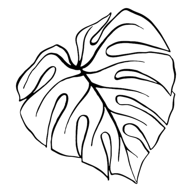 Monstera blad tropische plant inkt lijn kunst hand getrokken schets geïsoleerde vector