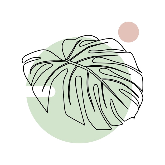 Monstera deliciosa leaf line art with circle background