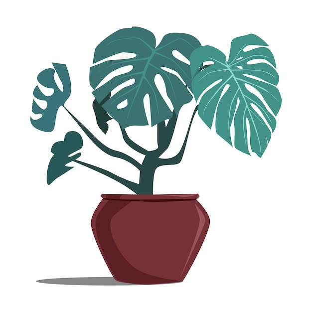 Monstera domestic plant decor Cartoon illustration isolated on white background