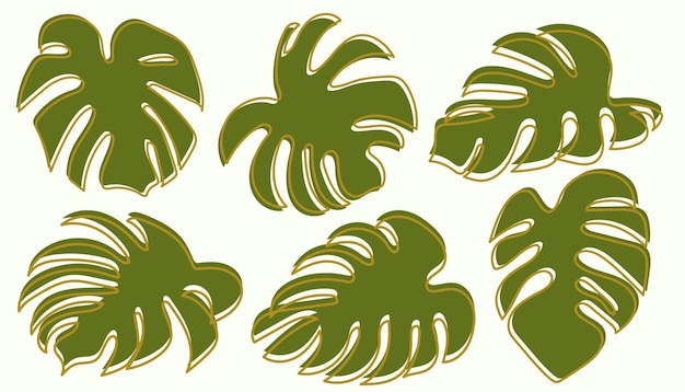 monstera drawing collection