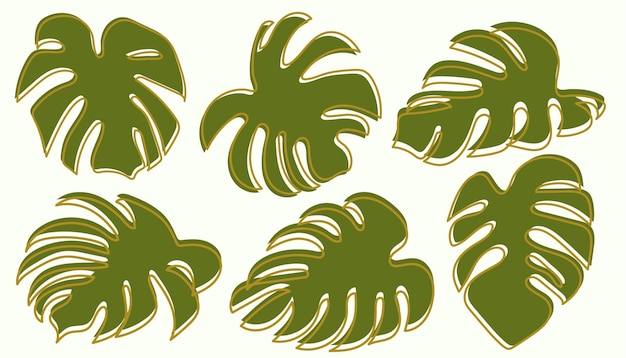 Monstera Drawing Collection