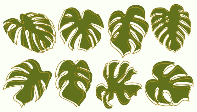 Monstera Drawing Collection