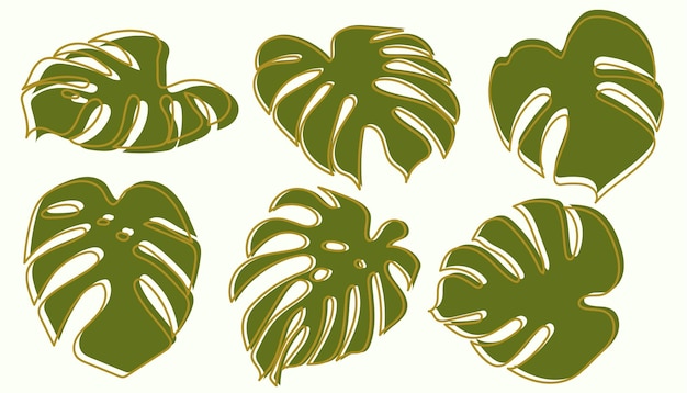 monstera drawing collection