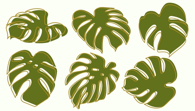 Monstera Drawing Collection