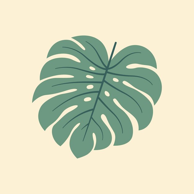 Vector monstera flat vector illustration on isolated background tropical leaves vector flat illustration