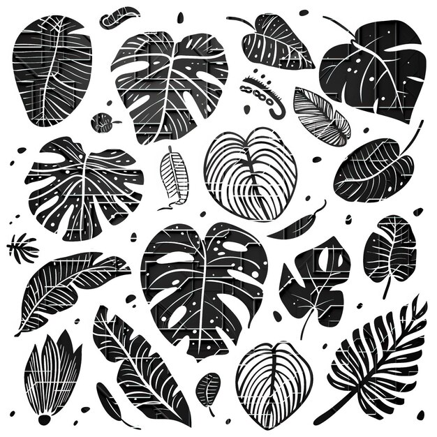 Vector monstera flat vector linear set illustration high quality