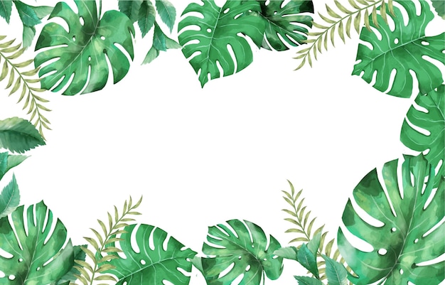 Vector monstera groen kader