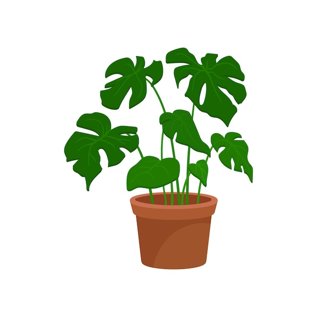 Монстера домашнее декоративное растение комнатное растение для дизайна интерьера векторная иллюстрация на белом фоне