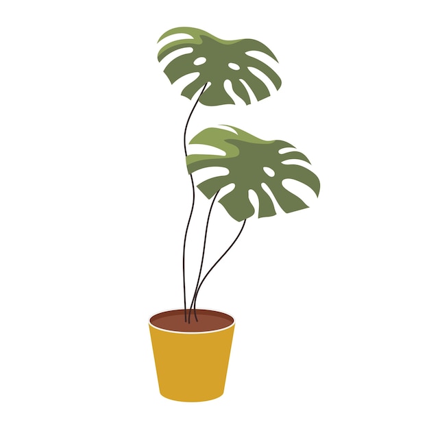 Vector monstera houseplant in ceramic pot