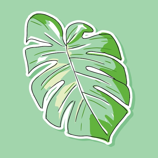 Vector monstera leaf cartoon design